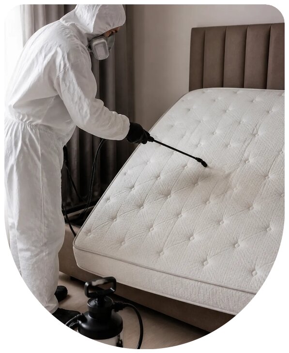 Профессиональная дезинсекция матраса в Алейске с гарантией