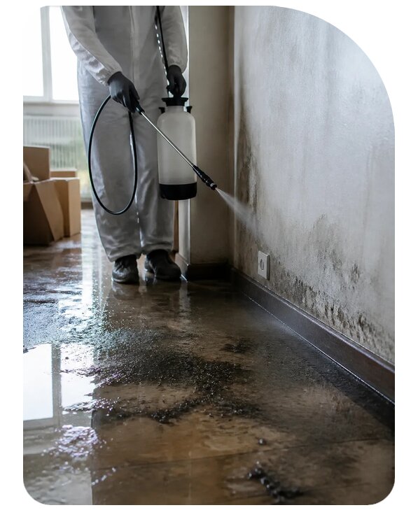Дезинфекция после затопления в Алейске по цене от 5671 р. | Сенат-Лук